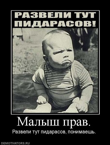 https://cdn.tolstoycomments.com/ui/63/c5/82/63c58221-da21-4f4f-bb80-403b72ced5c1.jpg